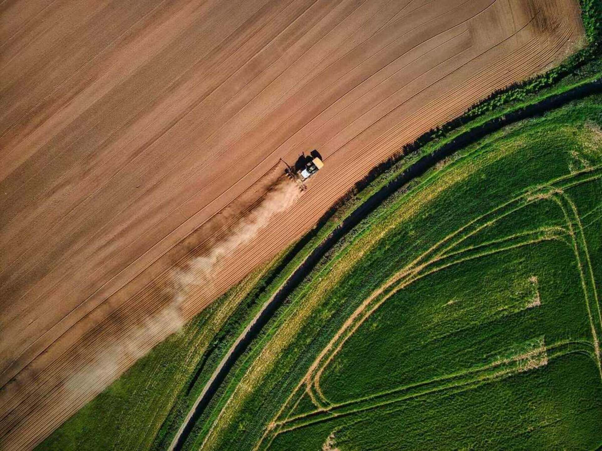 Vista aerea de fazenda brasileira com gado no confinamento